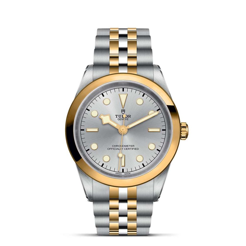 TUDOR Black Bay S&G Silver Dial & Bracelet 41MM Automatic Watch