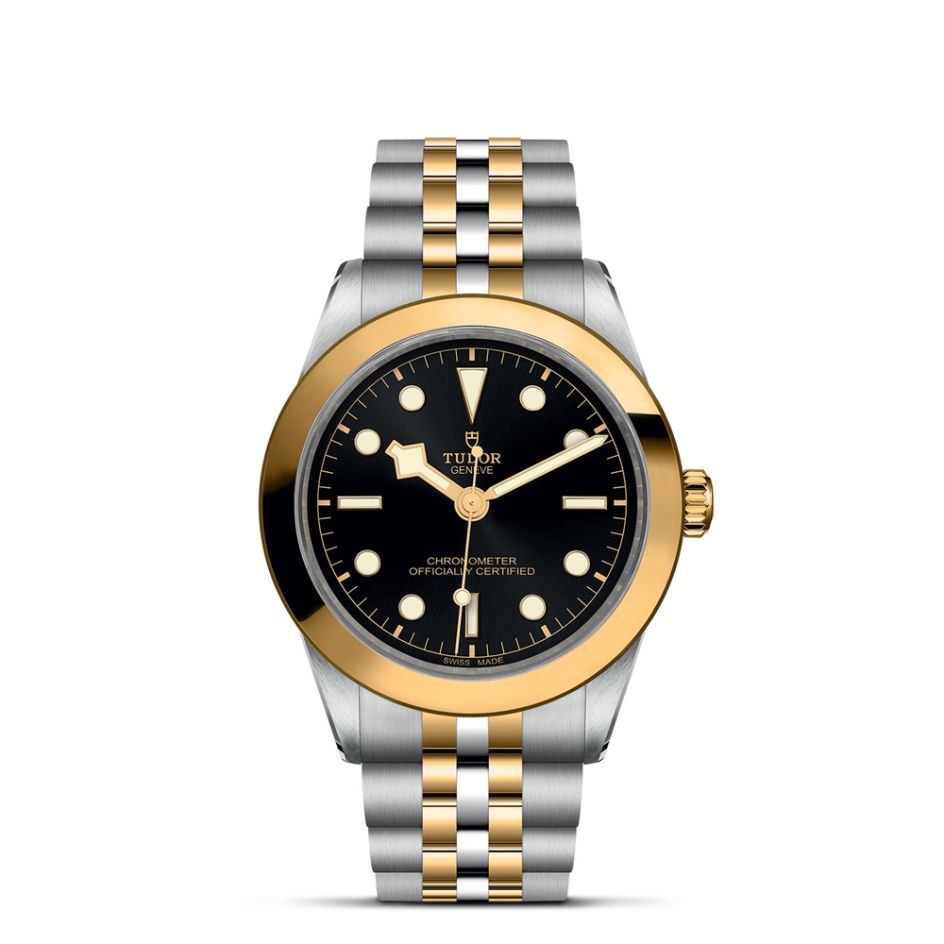 TUDOR Black Bay S&G Black Dial & Bracelet 39MM Automatic Watch